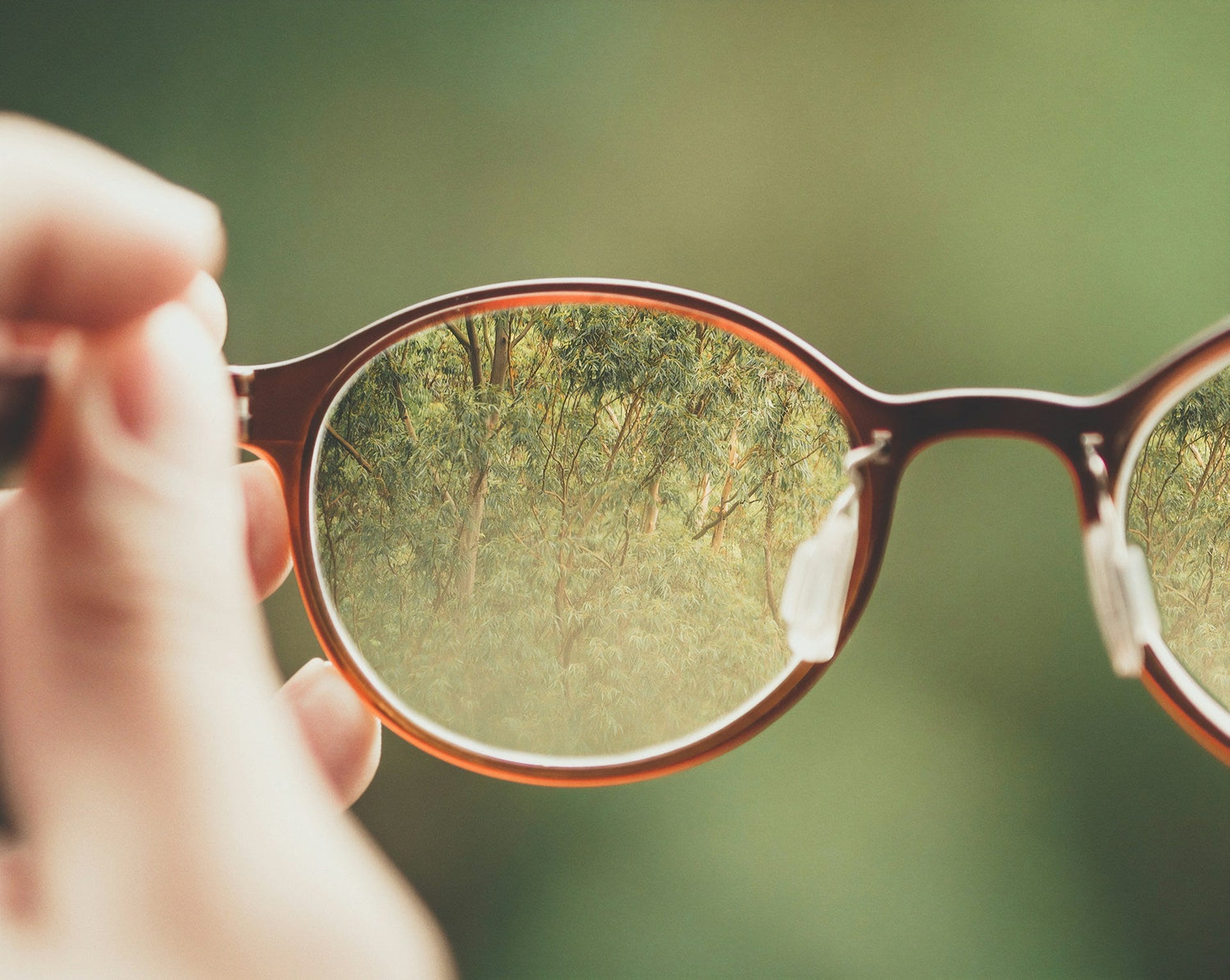 Vision & Hearing Support